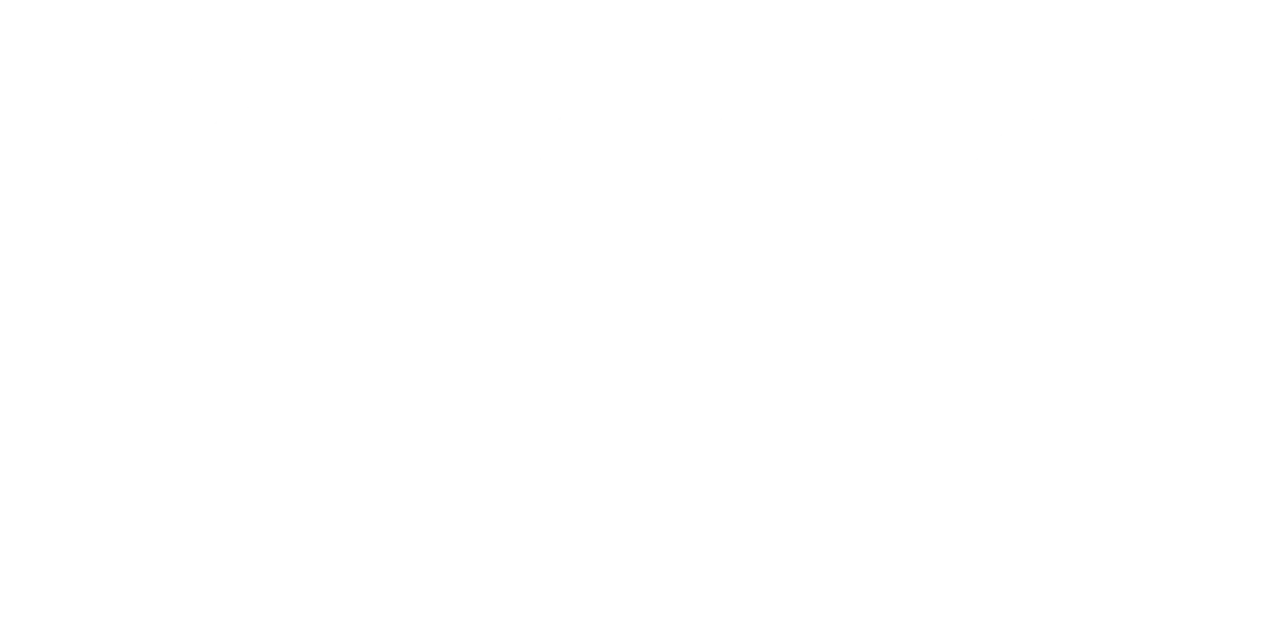 ANC Telematics